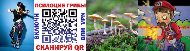 Галлюциногенные грибы Magic Shrooms  купить наркотик  Дюртюли 